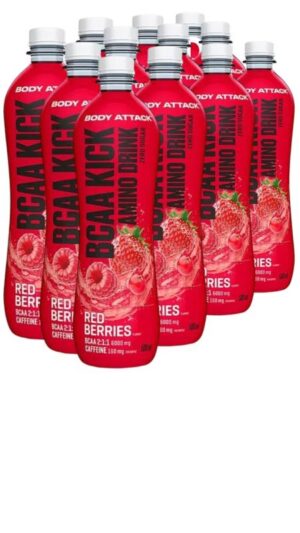 BCAA Kick Amino Drink 12 x 500ml